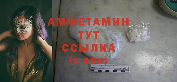 PSILOCYBIN Алзамай