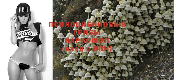 PSILOCYBIN Алзамай