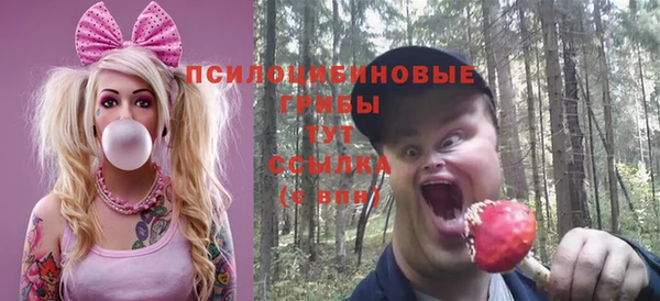 соль ск Алексеевка