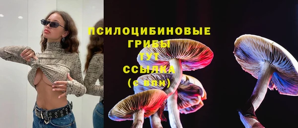 PSILOCYBIN Алзамай