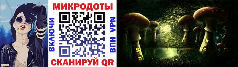 Псилоцибиновые грибы MAGIC MUSHROOMS  где купить   площадка какой сайт  Гусь-Хрустальный  kraken онион 