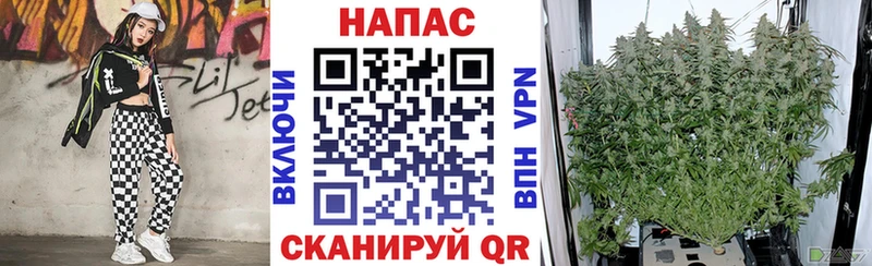 Марихуана план  Гусь-Хрустальный 